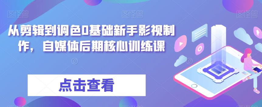 零基础学习影视制作：达芬奇调色与剪辑全攻略-九源吧网赚