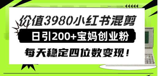 价值3980小红书混剪日引200+宝妈创业粉，每天稳定四位数变现！-九源吧网赚