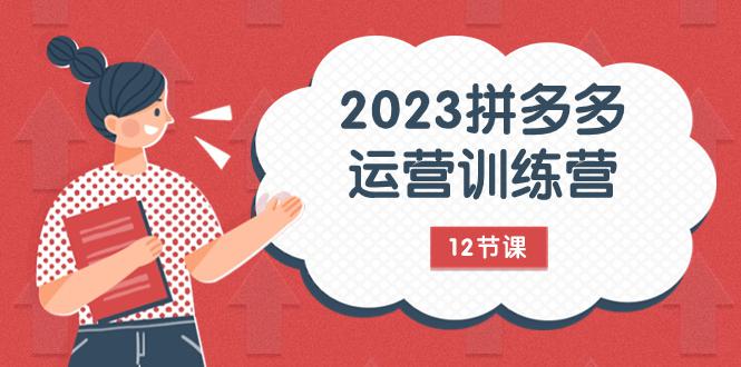 2023年拼多多运营攻略：解锁流量秘密，全方位免费+付费流量实战解析（12节课）-九源吧网赚