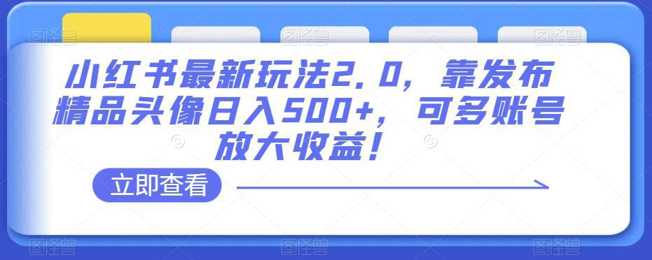 小红书最新玩法2.0：发布精品头像日入500+，多账号放大收益！-九源吧网赚
