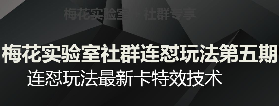 梅花实验室社群连怼玩法第五期，视频号连怼玩法最新卡特效技术-九源吧网赚