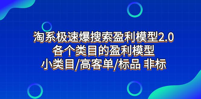 淘系极速搜索盈利模型2.0，揭示各类目标品和非标品的盈利模型，发现小类目的高客单秘诀-九源吧网赚
