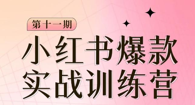 从零到一，掌握小红书爆款秘籍，，从定位到起号到变现让你轻松变身博主达人-九源吧网赚