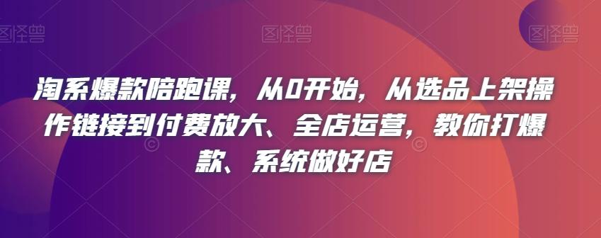 从选品到全店运营，淘系爆款陪跑课教你系统打造爆款店铺-九源吧网赚学院