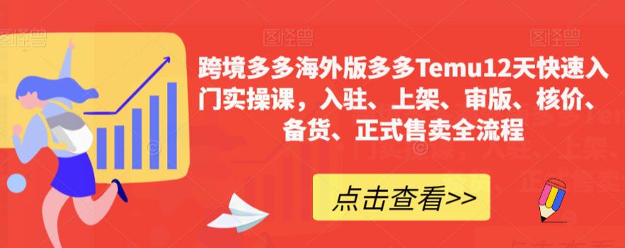 跨境多多海外版多多TEMU12天快速入门实操课，轻松掌握全流程，成就跨境电商之路！-九源吧网赚