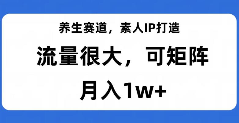 养生赛道IP打造，流量巨大，教你月入1W+【完整揭秘】-九源吧网赚