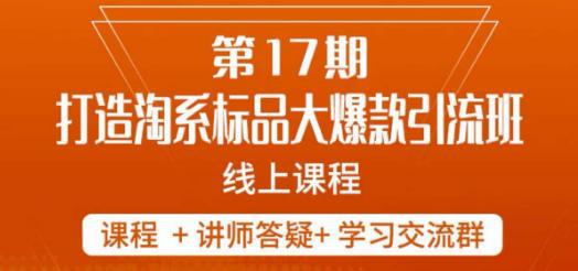 南掌柜-第17期打造淘系标品大爆款，5天线上课-九源吧网赚