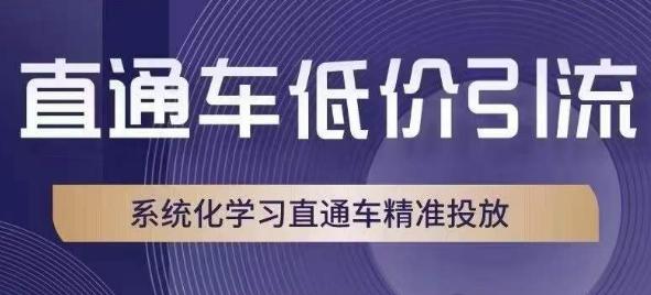 直通车低价引流教程，系统化学习直通车精准投放-九源吧网赚