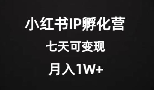 价值2000+的小红书IP孵化营项目，超级大蓝海，七天即可开始变现，稳定月入1W+-九源吧网赚