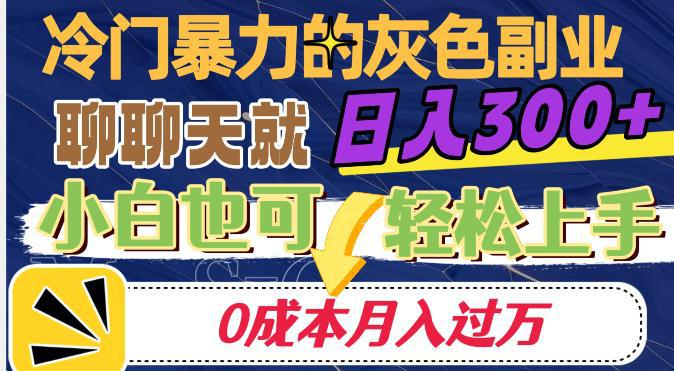 冷门暴利的副业项目，聊聊天就能日入300+，0成本月入过万【揭秘】-九源吧网赚
