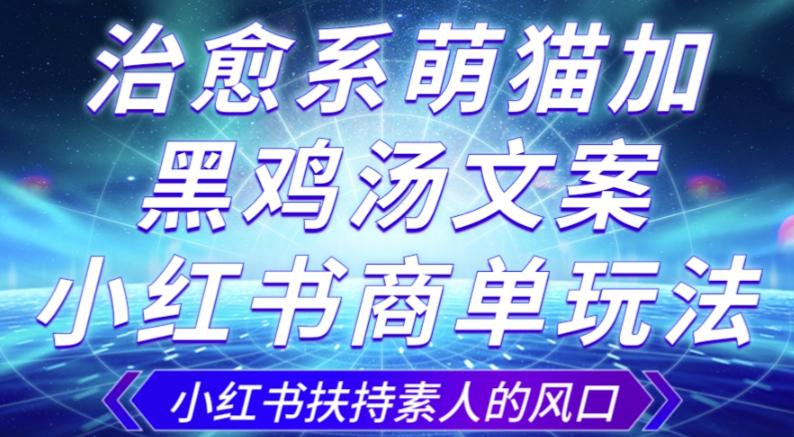治愈系萌猫加+黑鸡汤文案，小红书商单玩法，3~10天涨到1000粉，一单200左右-九源吧网赚学院