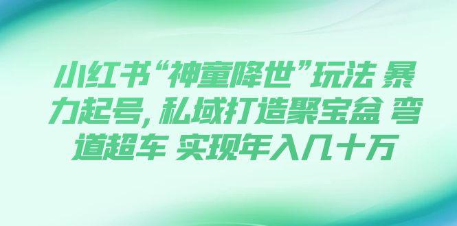 小红书“神童降世”玩法 暴力起号,私域打造聚宝盆 弯道超车 实现年入几十万-九源吧网赚