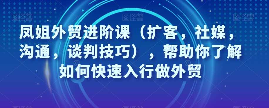 凤姐外贸进阶课（扩客，社媒，沟通，谈判技巧），帮助你了解如何快速入行做外贸-九源吧网赚
