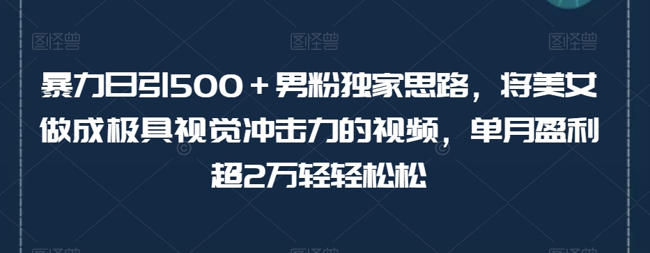 男粉独家思路：极具视觉冲击力的美女视频变现，单月盈利超2万轻松达成【揭秘】-九源吧网赚