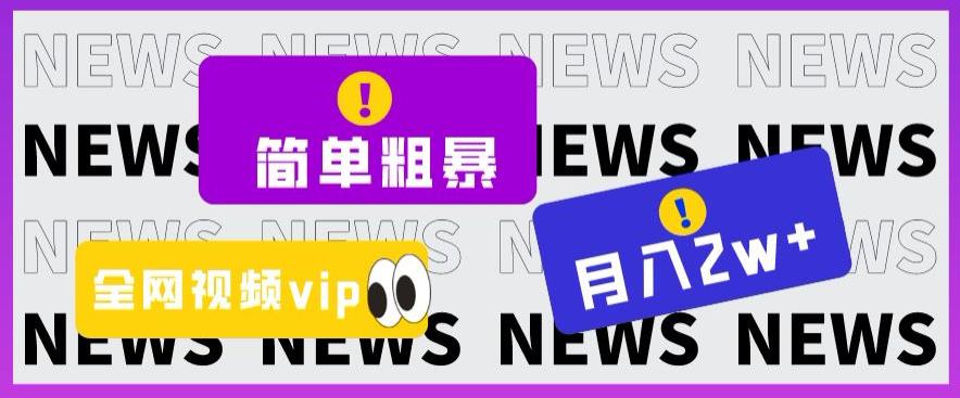 零成本高回报！揭秘全网视频VIP掘金项目，月入2万+-九源吧网赚