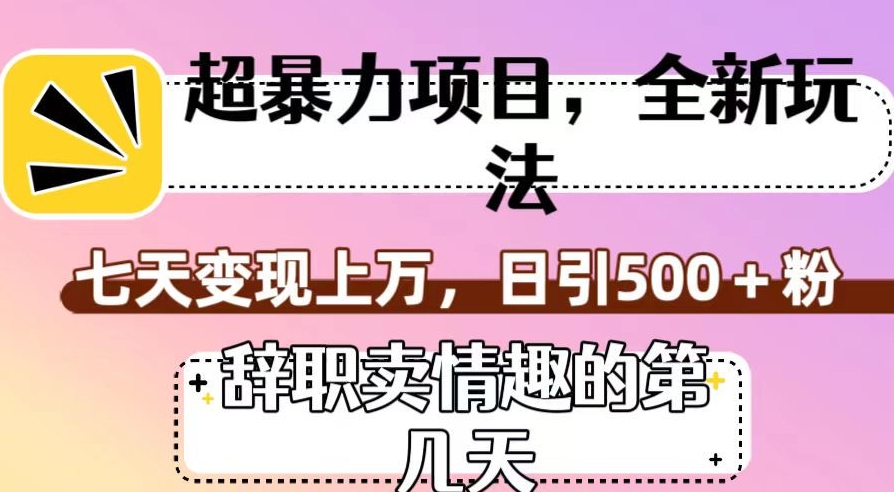超暴利项目，全新玩法（辞职卖情趣的第几天），七天变现上万，日引500+粉【揭秘】-九源吧资源站