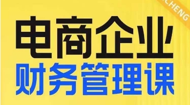 电商企业财务管理线上课，为电商企业规划财税-九源吧网赚
