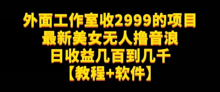 外面工作室收2999的项目最新美女无人撸音浪日收益几百到几千【教程+软件】（仅揭秘）-九源吧网赚