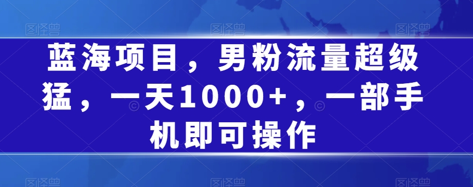 蓝海项目，男粉流量超级猛，一天1000+，一部手机即可操作【揭秘】-九源吧网赚学院