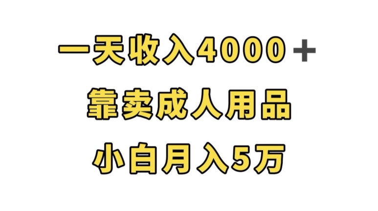 轻松月入5万，靠卖成人用品，一天收入4000+-九源吧网赚