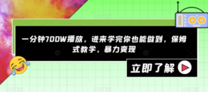 一分钟700W播放，进来学完你也能做到，保姆式教学，暴力变现【揭秘】-九源吧网赚