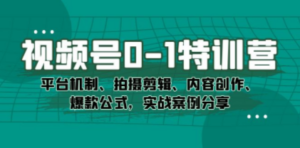 视频号0-1特训营：平台机制、拍摄剪辑、内容创作、爆款公式，实战案例分享-九源吧网赚学院