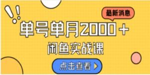 咸鱼虚拟资料新模式，月入2w＋，可批量复制，单号一天50-60没问题 多号多撸-九源吧网赚