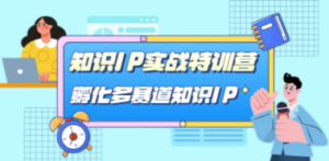 知识IP实战特训营，​孵化-多赛道知识IP（33节课）-九源吧网赚学院