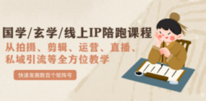 国学/玄学/线上IP陪跑课程，从0-1全方位教学，快速发展数百个矩阵号-九源吧网赚学院