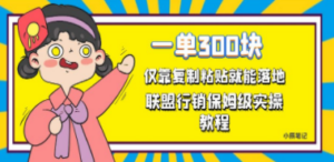一单轻松300元，仅靠复制粘贴，每天操作一个小时，联盟行销保姆级出单教程-九源吧