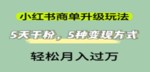 小红书商单升级玩法，5天千粉，5种变现渠道，轻松月入1万+-九源吧网赚学院