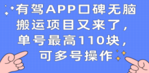 有驾APP口碑无脑搬运项目又来了，单号最高110块，可多号操作-九源吧资源站