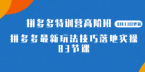2023拼多多·特训营高阶班【9月13日更新】拼多多最新玩法技巧落地实操-83节-九源吧网赚