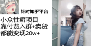知乎小众性癖项目，Lsp的钱才是最好赚的，付费建群+卖货变现20w-九源吧资源站