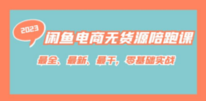 闲鱼电商无货源陪跑课，最全、最新、最干，零基础实战-九源吧网赚学院