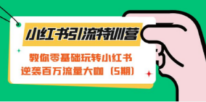 小红书引流特训营-第5期：教你零基础玩转小红书，逆袭百万流量大咖-九源吧网赚