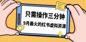 一单50-288，一天8单收益500＋小红书虚拟资源变现，视频课程＋实操课＋-九源吧网赚