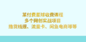 某付费星球课程：多个网创实战项目，撸货线报、流量卡、闲鱼电商等等-九源吧网赚