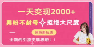 一天收款2000元，男粉不封号拒绝大尺度-色粉全新的变现方法-九源吧资源站