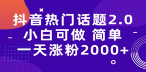 抖音热门话题玩法2.0，一天涨粉2000+（附软件+素材）-九源吧网赚