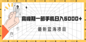 最新蓝海项目，一年2次爆发期，高峰期一部手机日入6000+（素材+课程）-九源吧网赚