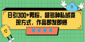 独家推荐！日引300+男粉，超多种私域变现方式，作品即发即报-九源吧资源站