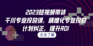 2023短视频带货-千川专业投放课，精细化专业投放，计划纠正，提升ROI-九源吧资源站