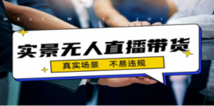 日入500+的实景无人直播带货最新玩法-九源吧网赚