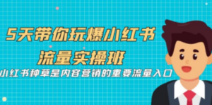 5天带你玩爆小红书流量实操班，小红书种草是内容营销的重要流量入口-九源吧网赚