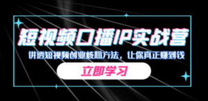 某收费培训：短视频口播IP实战营，讲透短视频创业核心方法，让你真正赚到钱-九源吧网赚