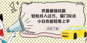 京喜最强拉新，轻松月入过万，偏门玩法，小白也能轻易上手-九源吧网赚