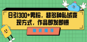 独家推荐！日引300+男粉，超多种私域变现方式，作品即发即报-九源吧网赚学院