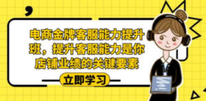 电商-金牌客服能力-提升班，提升客服能力是你店铺业绩的关键要素-九源吧资源站