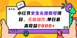 小红书女生头像账号项目，无脑操作“”单日最高收益2000+-九源吧网赚